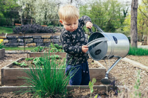 Little boy watering garden