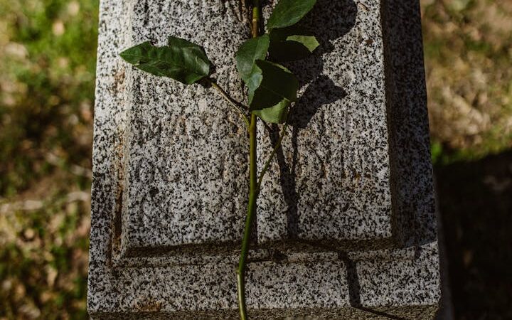 Should You Plan a Funeral in Advance?
