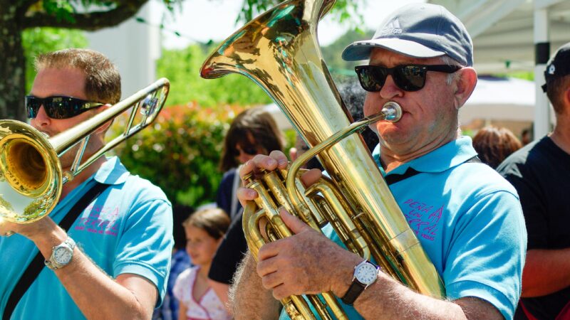 SUMMER 2025 CONCERTS IN THE LEHIGH VALLEY