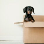 Are You Ready for A Stress-Free Move?