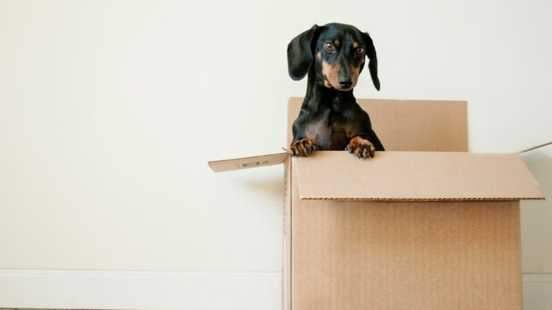 Are You Ready for A Stress-Free Move?