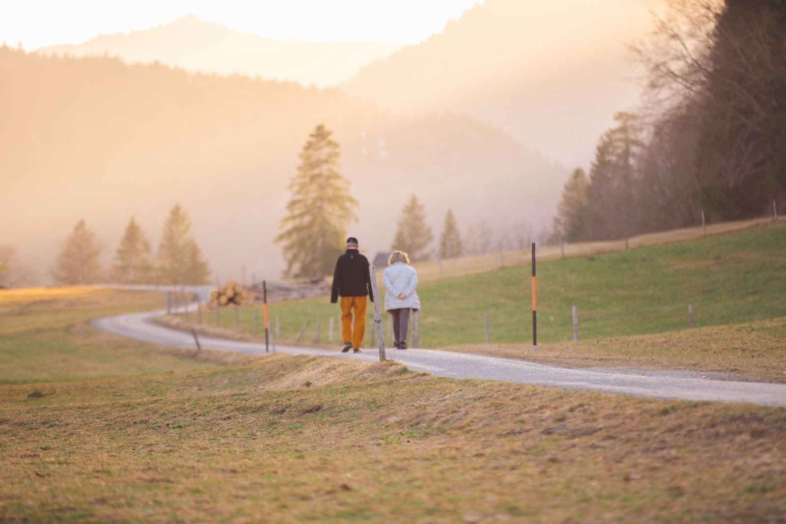 Senior couple walking hand-in-hand down a path